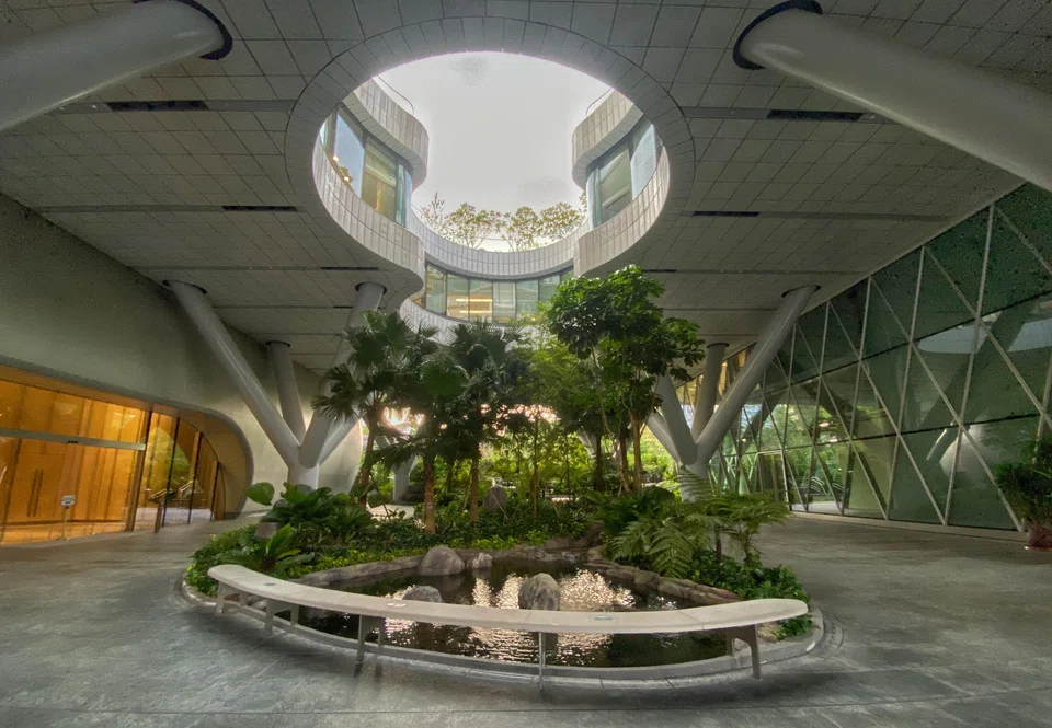 DBS says recovering sales volumes for consumer products will also propel higher profitability for Wilmar.