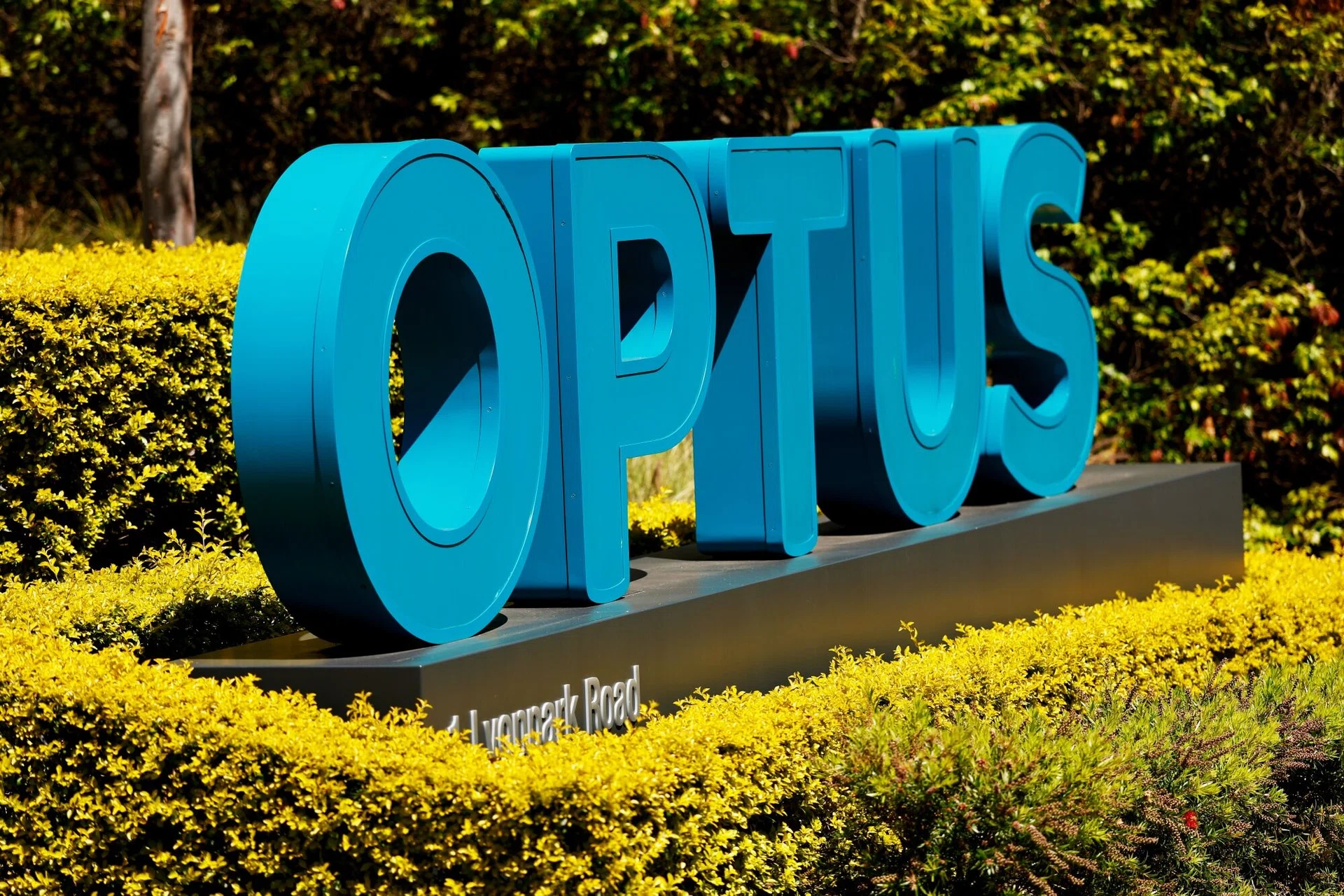 Singtel pledges support for troubled long-time unit Optus; transformation ‘will take time’