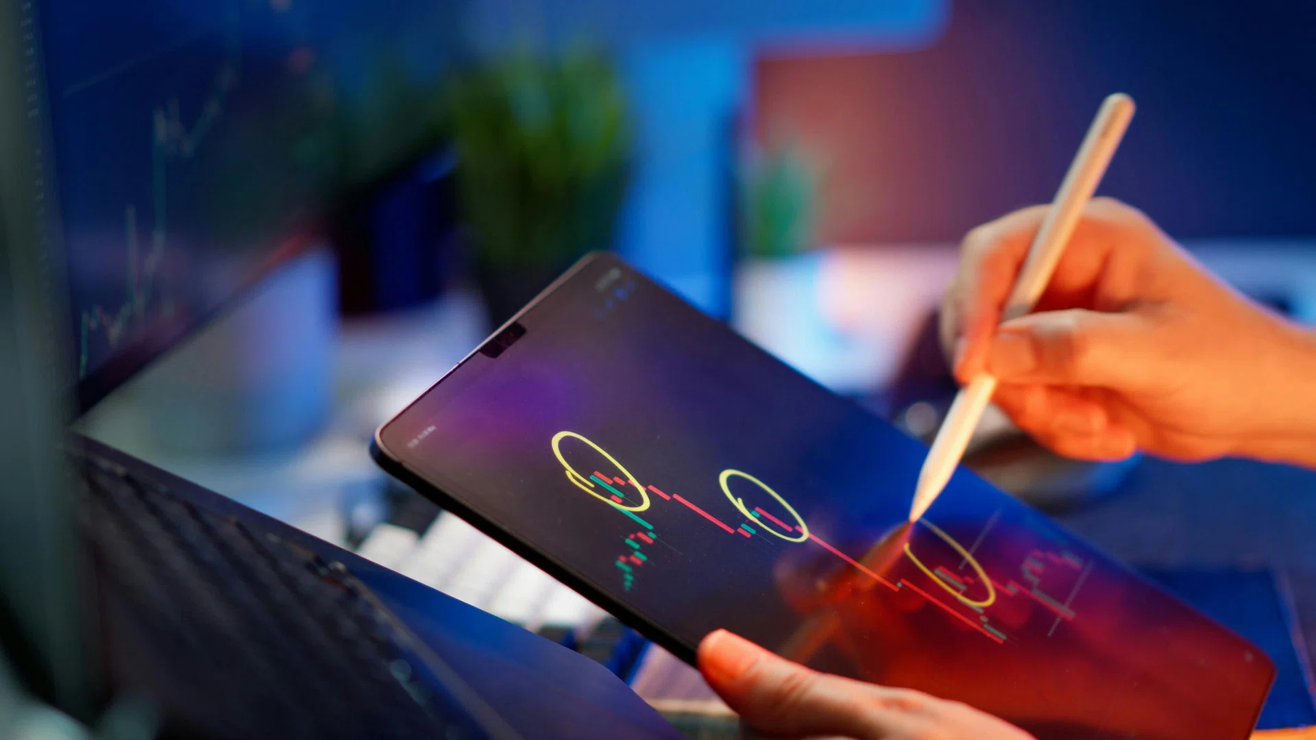 Discipline, the time-tested alpha - The Business Times