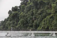 Singapore wants to develop over 130 hectares of new parks by 2026 and to add 1,000 hectares of green spaces by 2035.