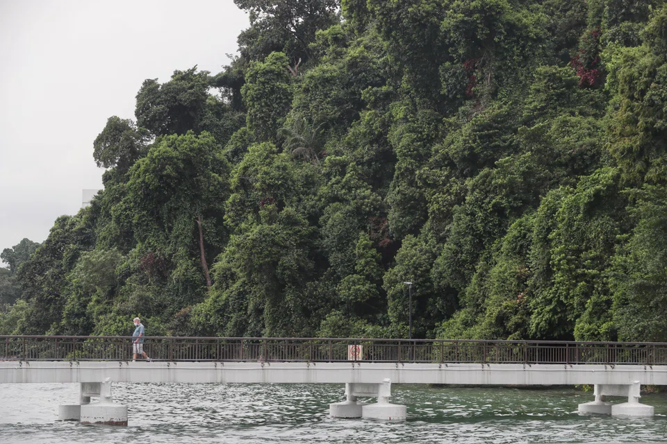 Singapore wants to develop over 130 hectares of new parks by 2026 and to add 1,000 hectares of green spaces by 2035.