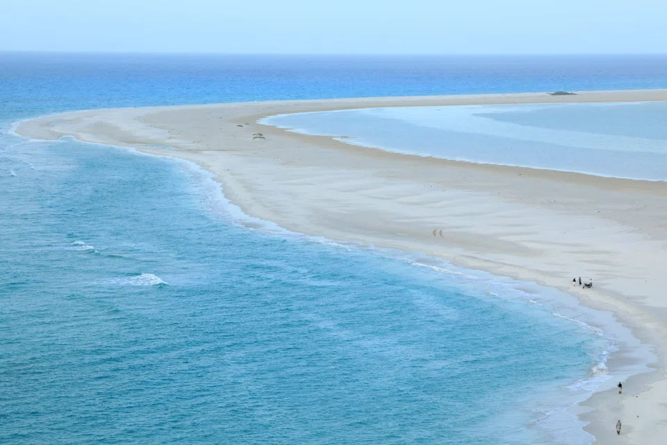 One in three people relies on the oceans for their livelihood, yet the oceans are in danger. They remain little-known, with neither global governance nor the financing needed for their preservation.