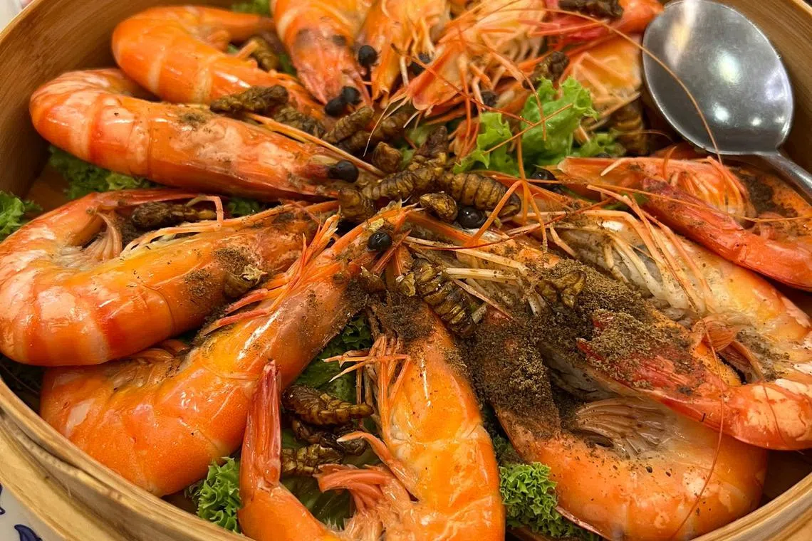 Next on the menu is fresh poached prawns garnished with silkworm pupae.