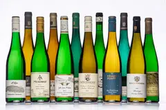 After years of higher temperatures, kabinett riesling producers have a vintage that seems like a throwback to the time when growers battled to ripen grapes. 