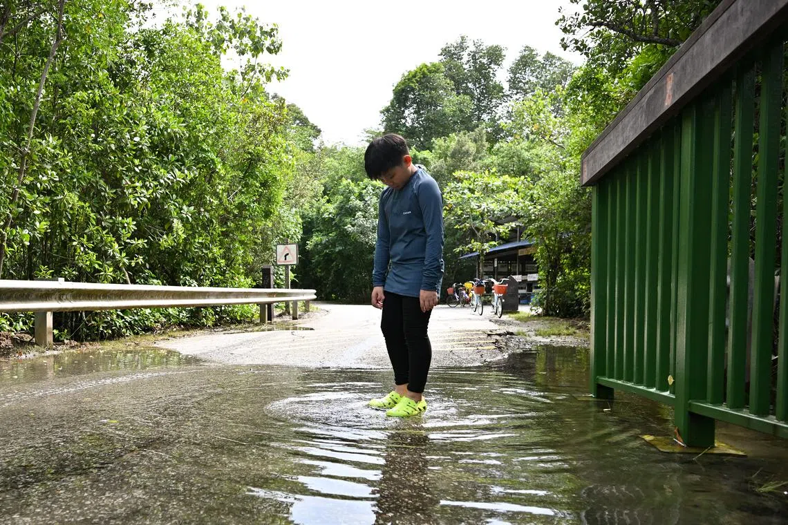 Singapore faces significant physical risk through more extreme rainfall and potential sea level rises – about 30 per cent of the island nation is less than five metres above sea level.