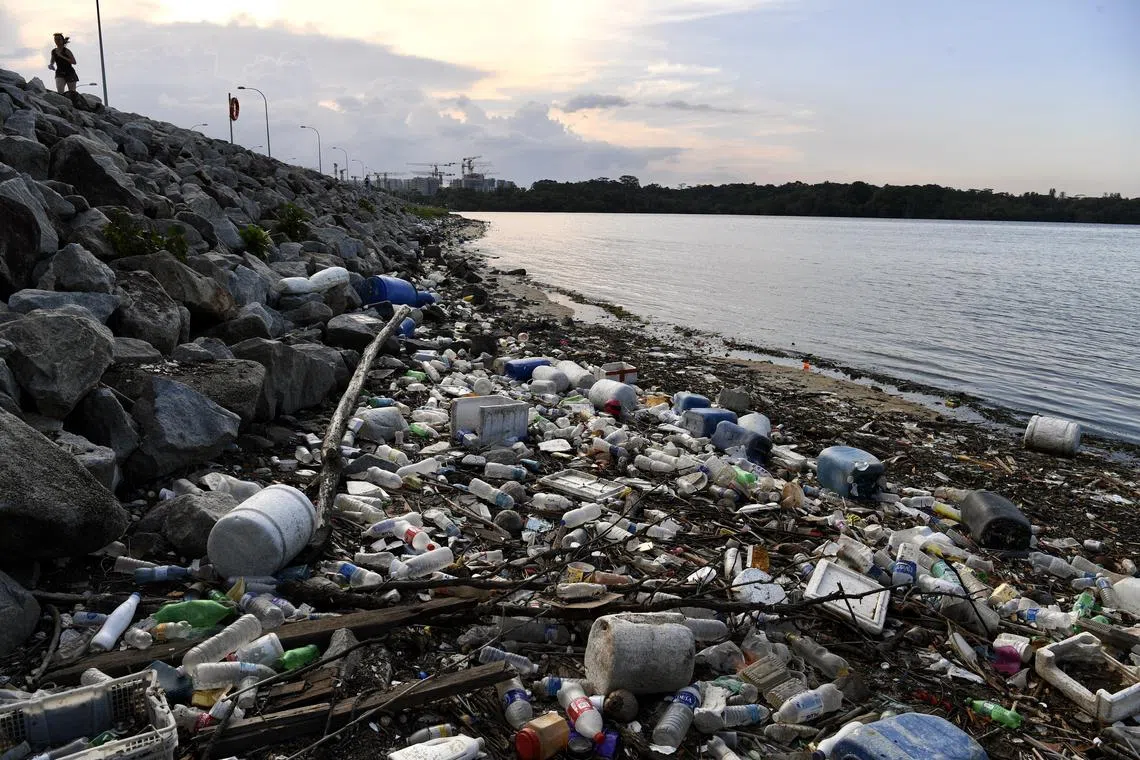 Just 14 per cent of the plastic packaging used globally is recycled, while 40 per cent ends up in landfills and 32 per cent in ecosystems, with the remaining 14 per cent incinerated.