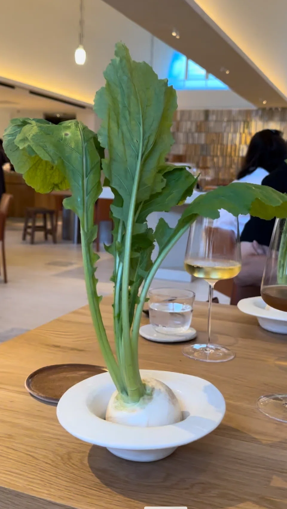 Celery and turnip 'cold soup presented with a whole daikon on top.
