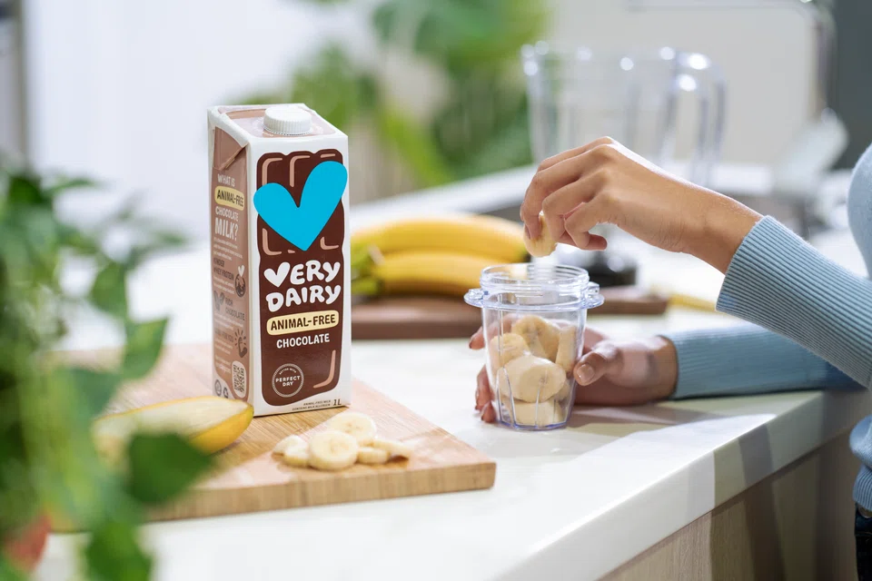 The whey protein in Perfect Day's Very Dairy milk is made in a lab, using a bioengineered form of the fungus Trichoderma reesei.