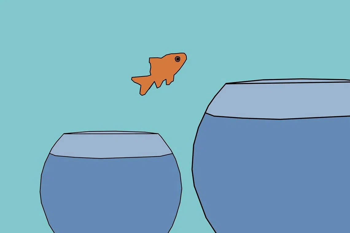 For an SME to grow, it must have a vision – and the people who need to be visionary are the owners. 