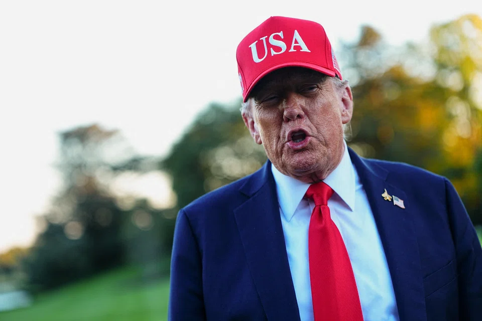 Trump has invoked national security to impose tariffs on a range of imports, including aluminium, steel and kitchen cabinets. 