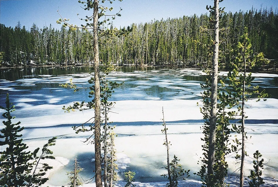 From 2026, foreigners will have to pay US$100 on top of the individual park fee to enter 11 of the most popular national parks in the US.