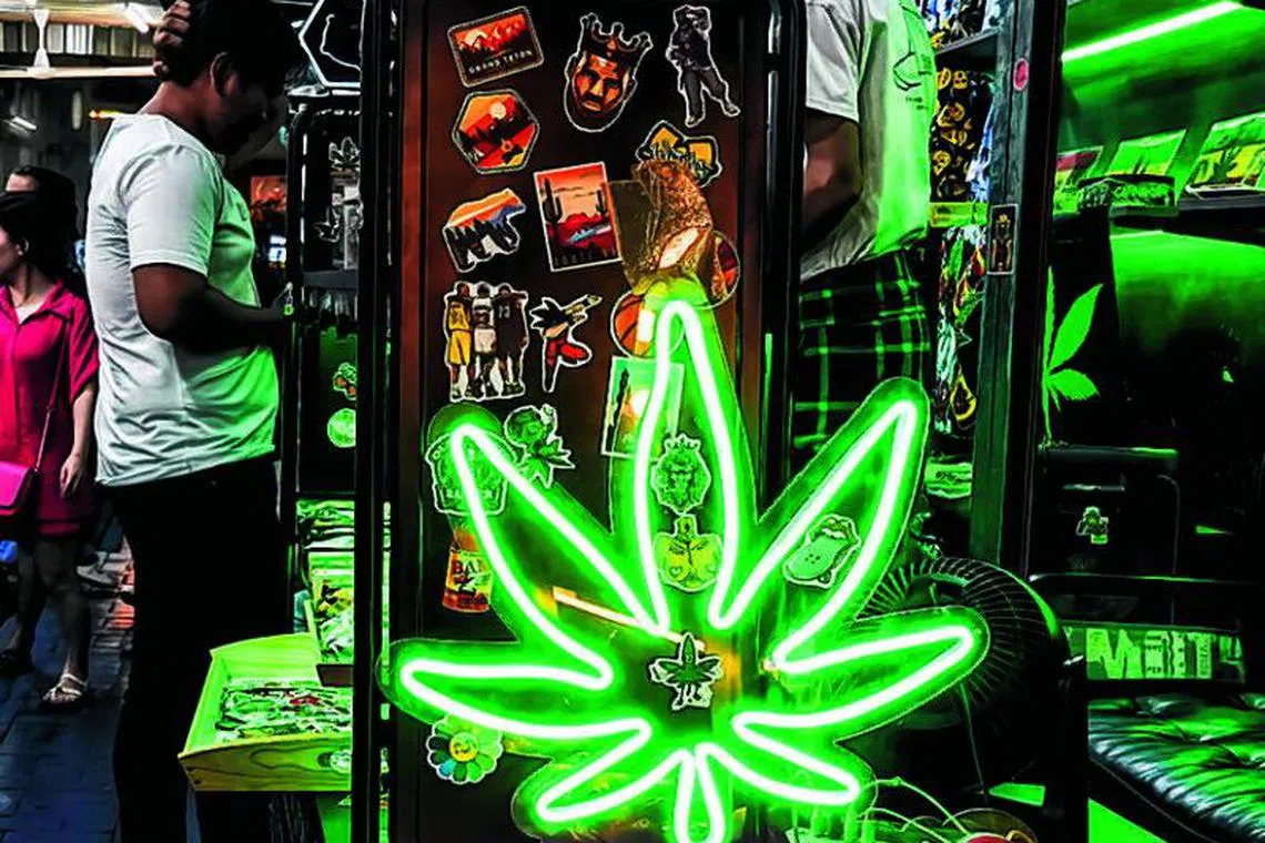 Three years ago, Thailand became one of the first countries in Asia to decriminalise the recreational use of  cannabis, but without any comprehensive rules to govern the sector.