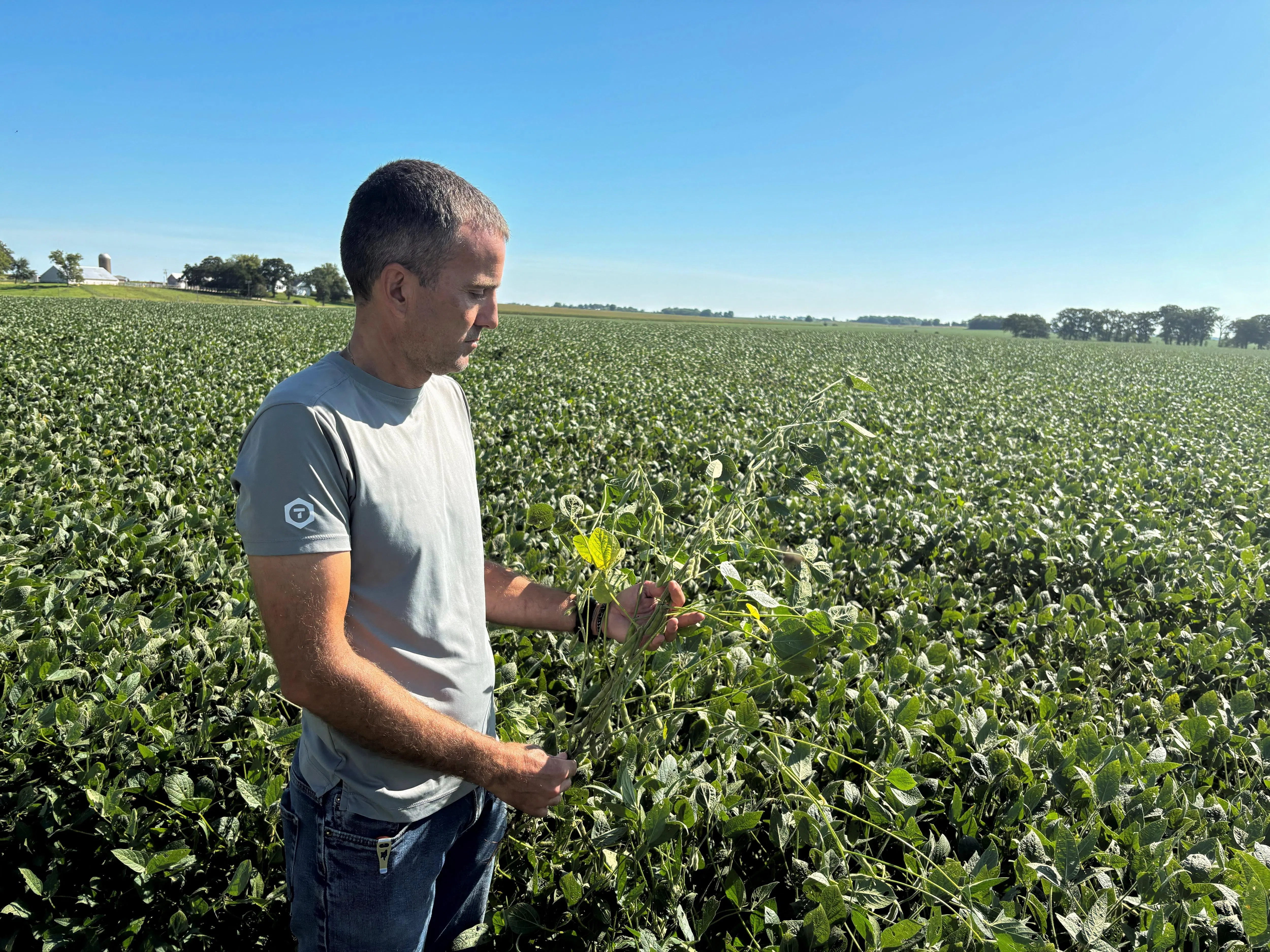 Soybean grower Ryan Frieders stands in a soy field on his farm in Waterman, Illinois, Aug 27, 2025. Harvested soybeans are not moving to export hubs, and instead going to storage, representatives for the two US soy industry groups said.
