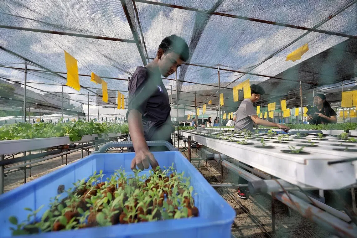 The impact of projects such as BlueAcres' horticultural programmes for individuals with moderate autism go beyond mere numbers.