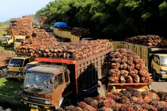 Indonesia, once a major exporter of natural resources, is now facing slowing demand due to weakening prices of mainstay commodities such as palm oil.