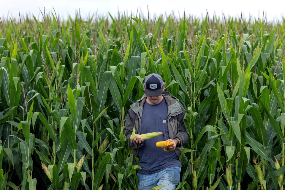 Vietnam, Thailand and the Philippines could also emerge as key importers of US corn.
