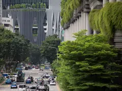 All listed companies, irrespective of their market size or whether they are an STI constituent, will still have to report their operation emissions (Scope 1) and those arising from their use of electricity (Scope 2) from this financial year.