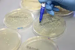 There is urgent need for new approaches to tackle antibiotic resistance and biofilms, particularly as no new classes of antibiotics have been discovered since the 1980s.