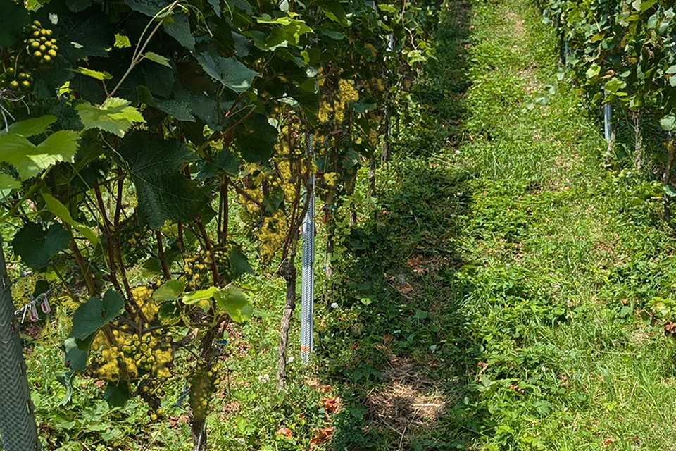 Much like a fine wine, a private equity investment improves over time and under a skilled hand.