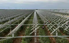 Sustainable infrastructure projects account for a growing share of the portfolio of projects in more recent issuances of infrastructure asset-backed securities.