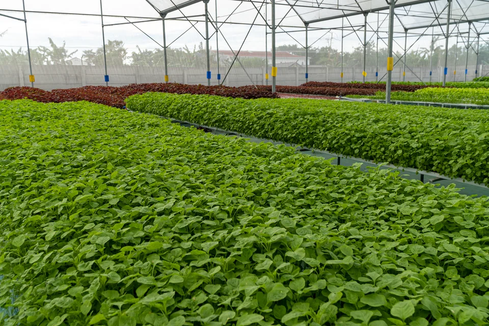 The startup offers farming-as-a-service solutions to farms in West Java in Indonesia. 