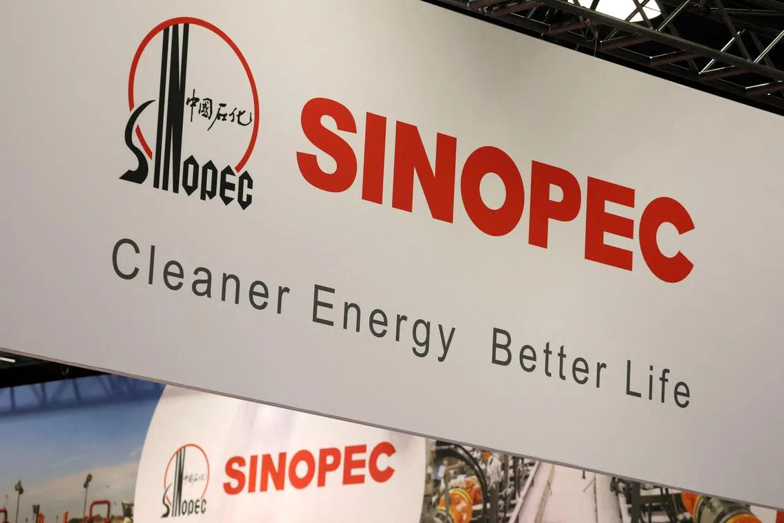 Sinopec expects crude oil production in 2025 to be 280.15 million barrels, or 767,530 bpd, and natural gas output of 1,450.3 billion cubic feet.
