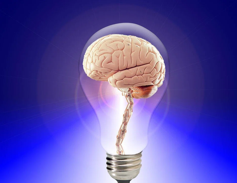 Sheena Iyengar on the concept of Learning+Memory: “Neuroscience shows that all thinking is an act of memory in some form. That includes imagination, creativity, innovation and other variations of ‘new’ thoughts."