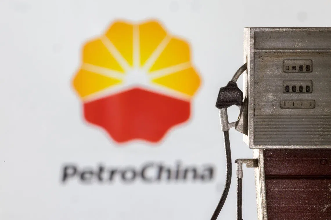 PetroChina has answered Beijing’s call to increase domestic production on concerns of energy security.