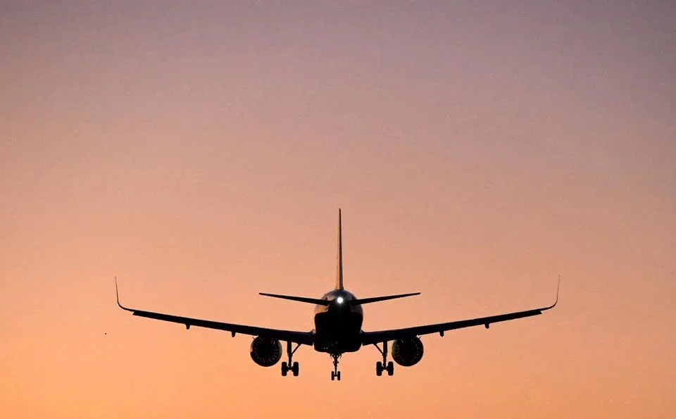 The comments come as the airline sector calls for more production of the fuel, which can be made from materials such as wood chips and used cooking oil.