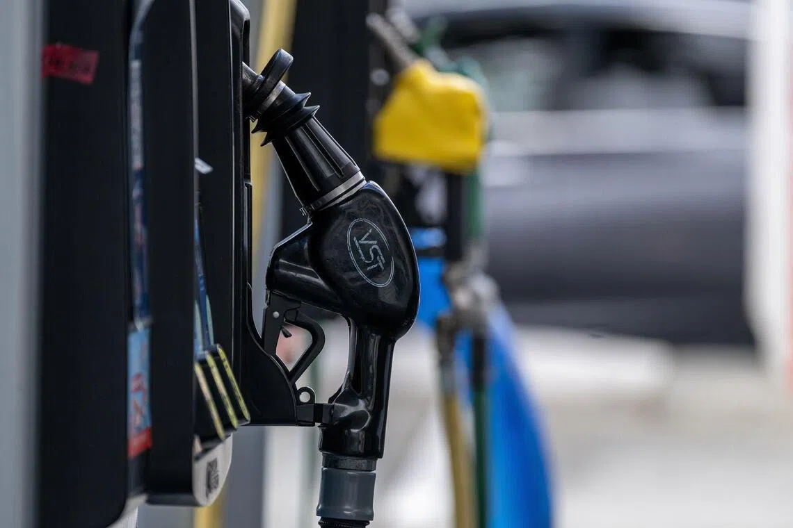 For a country like Singapore, higher oil and gas prices could provide greater impetus to diversify the fuel and energy mix.