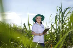 Dang Huynh Uc My (pictured) stepped up as AgriS chairwoman in July 2024 after about two decades in senior roles, including overseas training in finance and management in New Zealand.