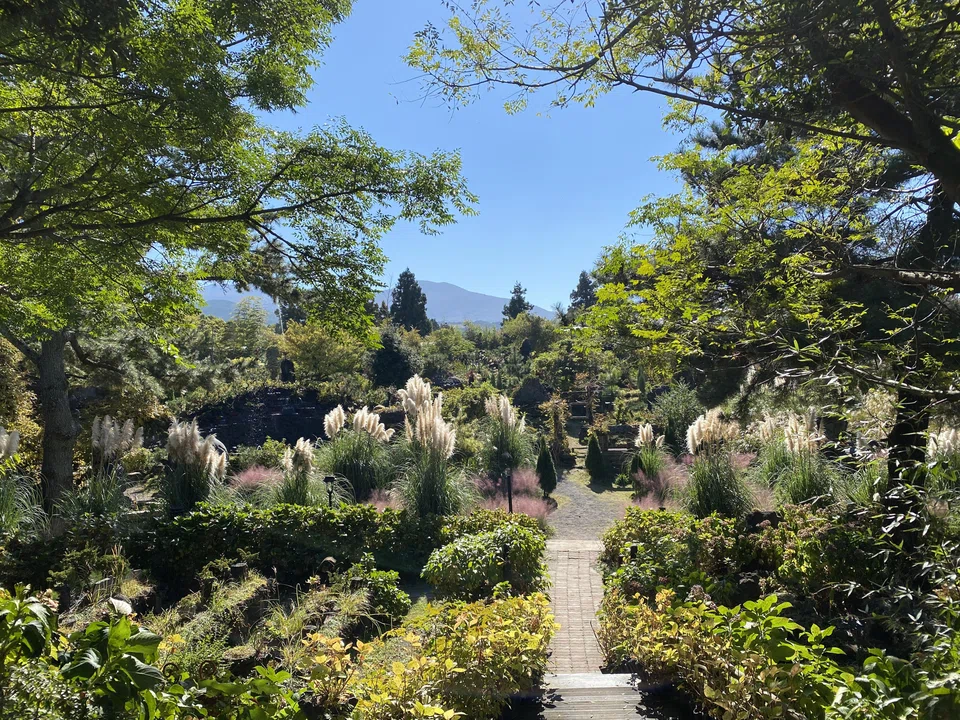 The mystical fairy garden at Mystic 3 Cafe in Jeju city.