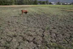 Climate reporting standards should be developed by independent standard setters through a robust process that includes investor representation, technical expertise and protection from external interference.