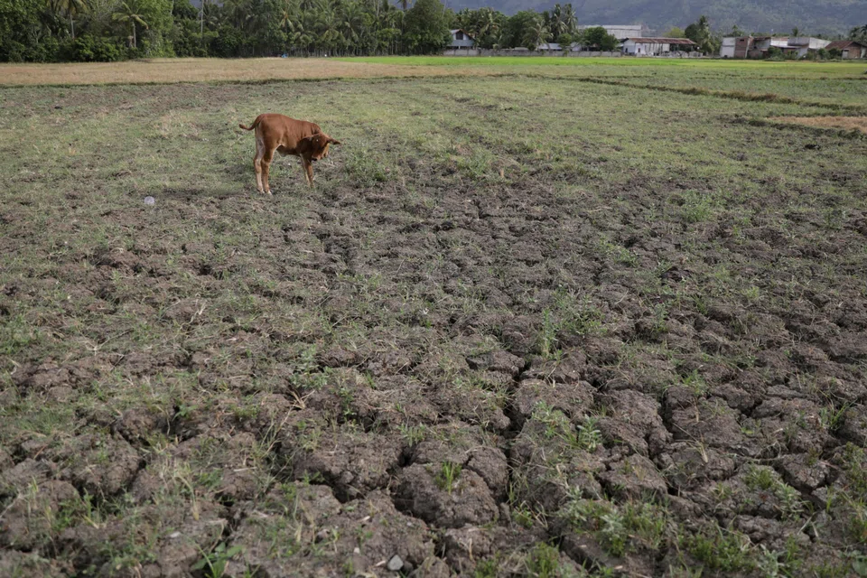 Climate reporting standards should be developed by independent standard setters through a robust process that includes investor representation, technical expertise and protection from external interference.