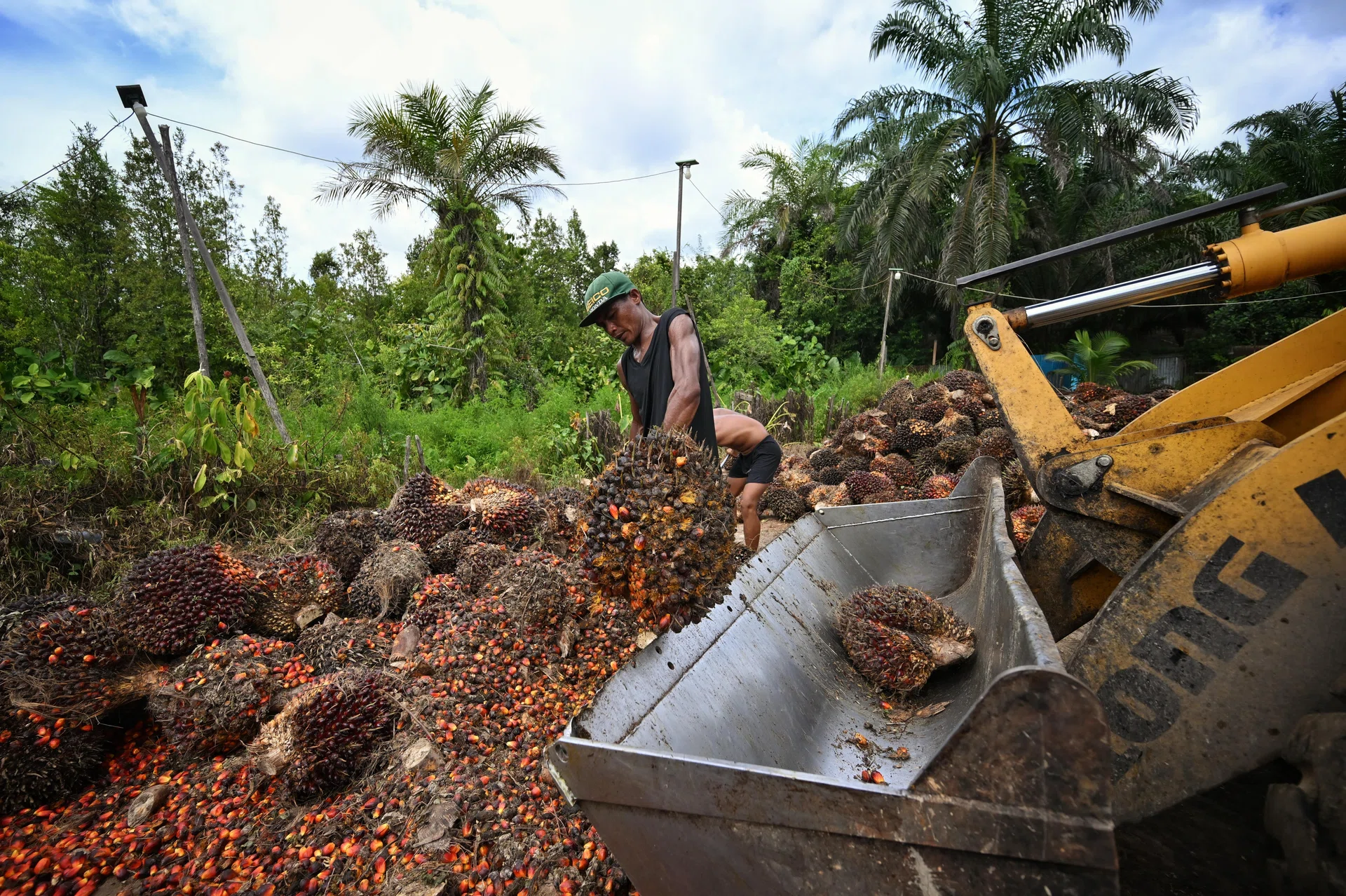 Indonesia releases details on export overhaul of palm, coal