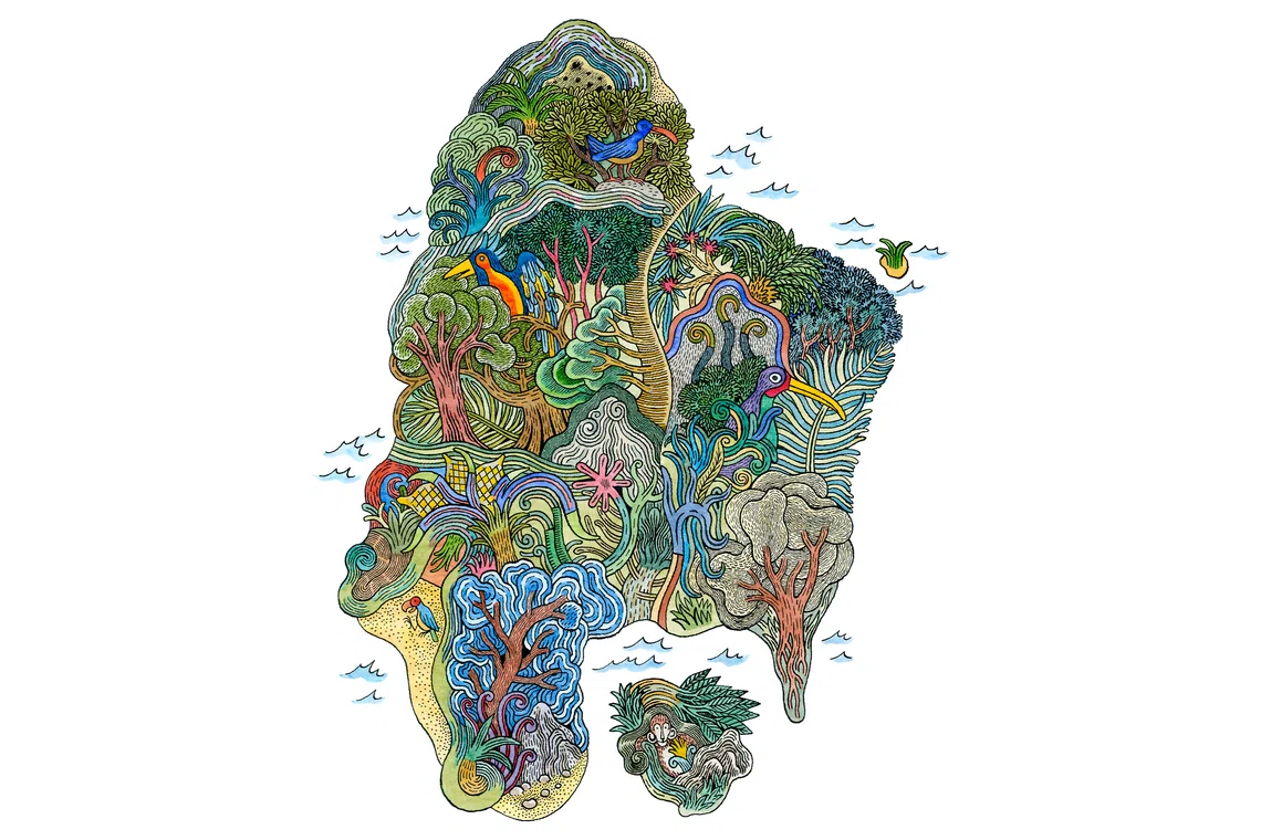 Illustrations by French comic-book artist and writer David Beauchard accompany the Treasure Island collection by Van Cleef &amp; Arpels.