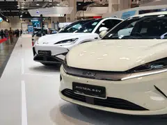 BYD sold 210,051 vehicles globally in January. The export volume of new energy vehicle was at 100,482 units for the month. 