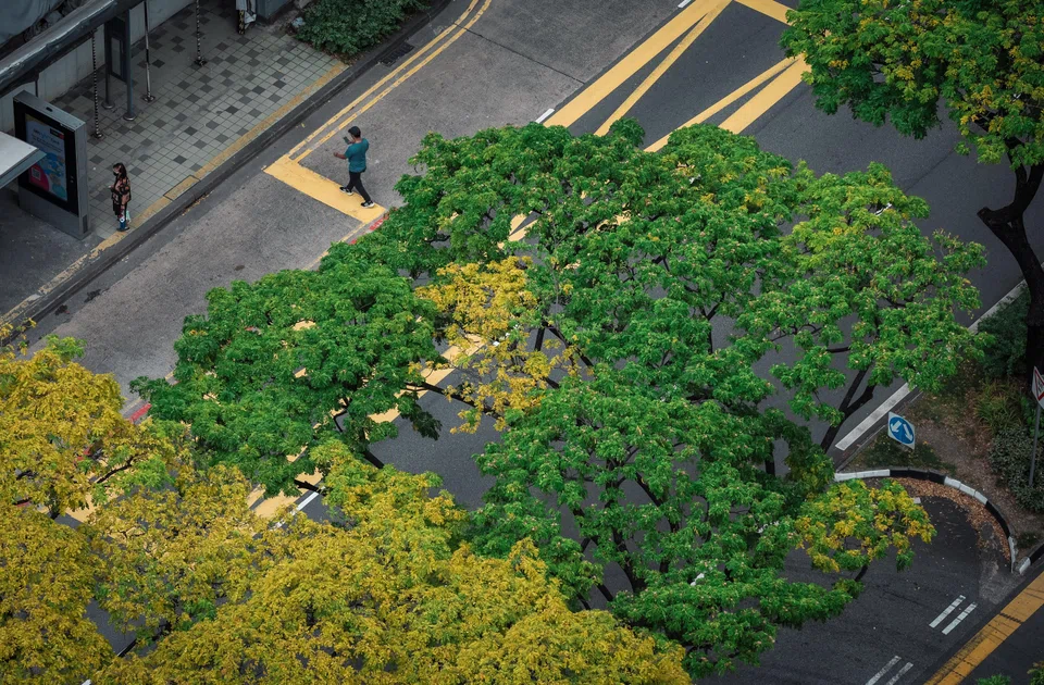 There is significant value in calculating avoided emissions for as many companies as we can – not just to better understand the impact of our investments, but also to make meaningful decisions about how the energy transition will unfold.