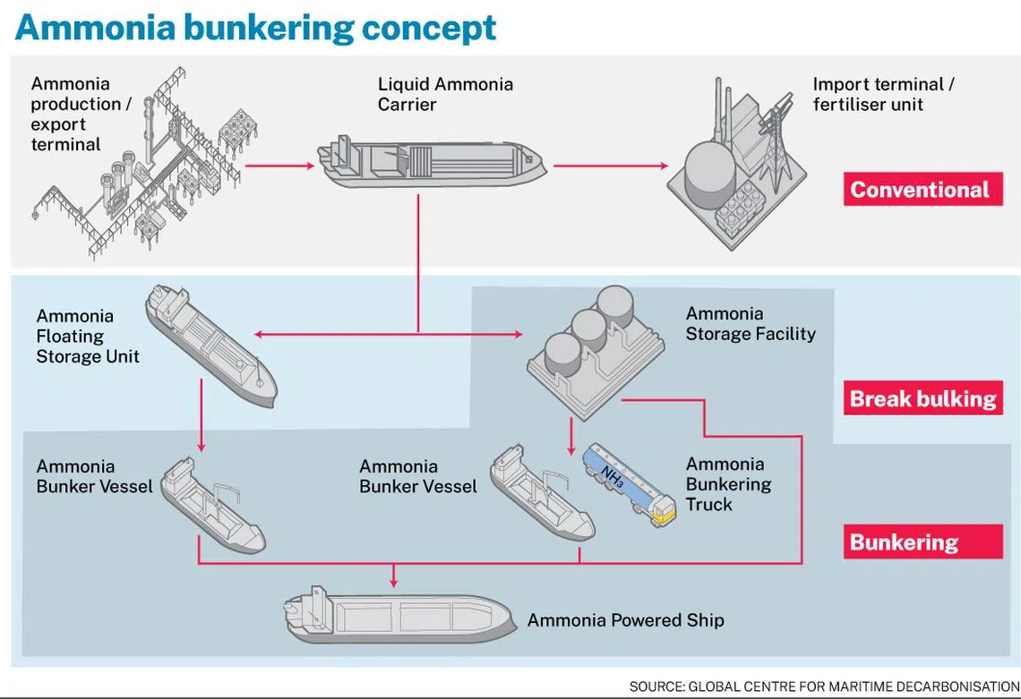 Study finds ‘low or mitigable’ risks for testing ammonia bunkering in ...