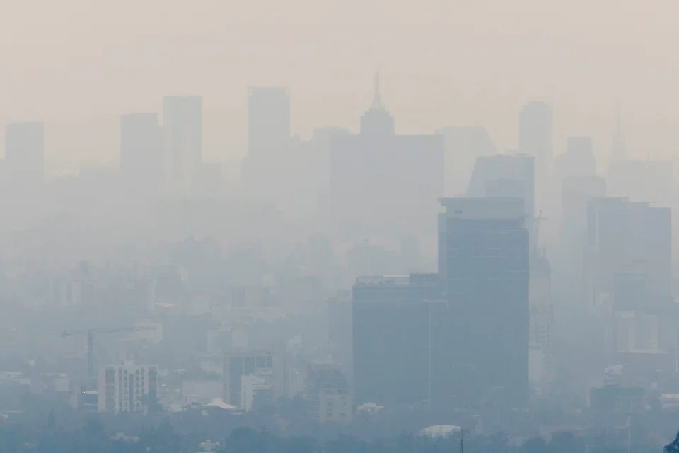 Emissions from oil, fuelled by the continuing rebound in aviation, will likely rise more than 2 per cent compared to last year, while emissions from coal – thought by some to have peaked in 2014 – will hit a new record, according to a study.