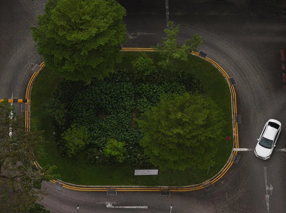 Sustainability reporting in Singapore has come a long way since it was introduced by SGX in 2016. In 2026, a decade after its introduction, all listed companies will be reporting their Scope 1 and 2 GHG emissions in addition to their climate-related disclosures. 