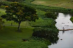 Since January 2022, the Economic Development Board has engaged more than 20 affected companies under Singapore’s carbon tax transition framework.