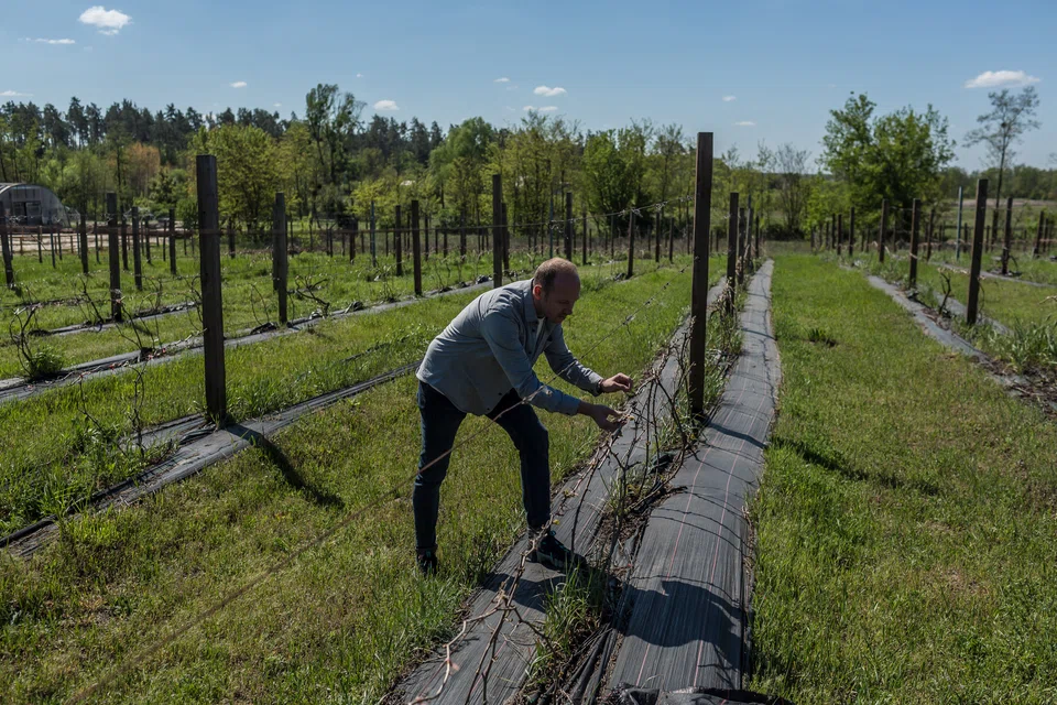 “Wine is something that civilised countries have offered, and we have had this for thousands of years, says Sergiy Klimov.