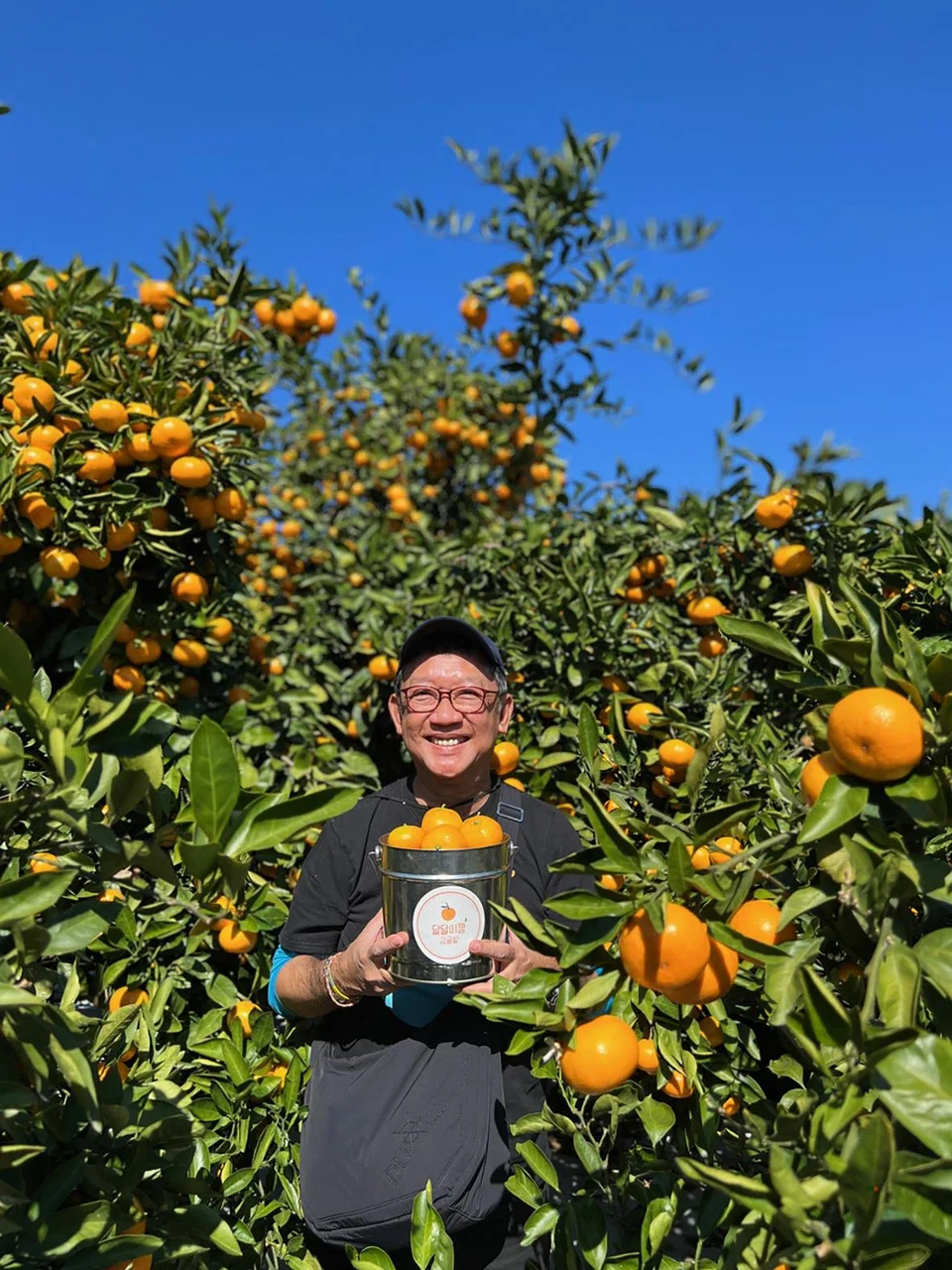 The writer in a colourful tangerine orchard that invites you to pick your own fruit.