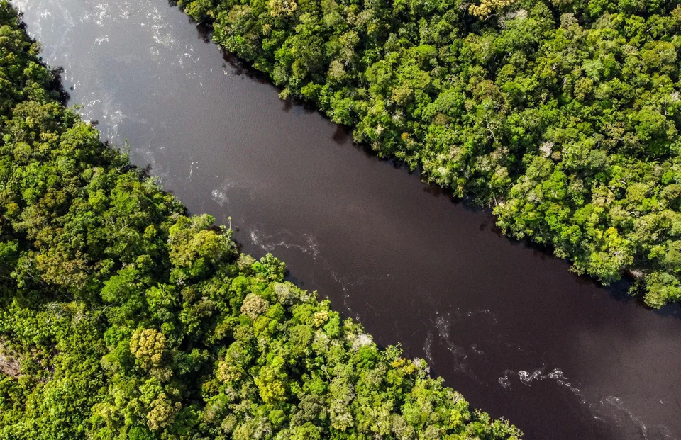 Companies are increasingly weaving sustainability and climate action targets into their core strategies.