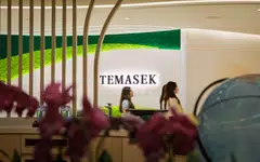 Azalea Investment is the management arm of Azalea Group and a wholly owned subsidiary of Azalea Asset Management, which is in turn indirectly owned by Temasek.