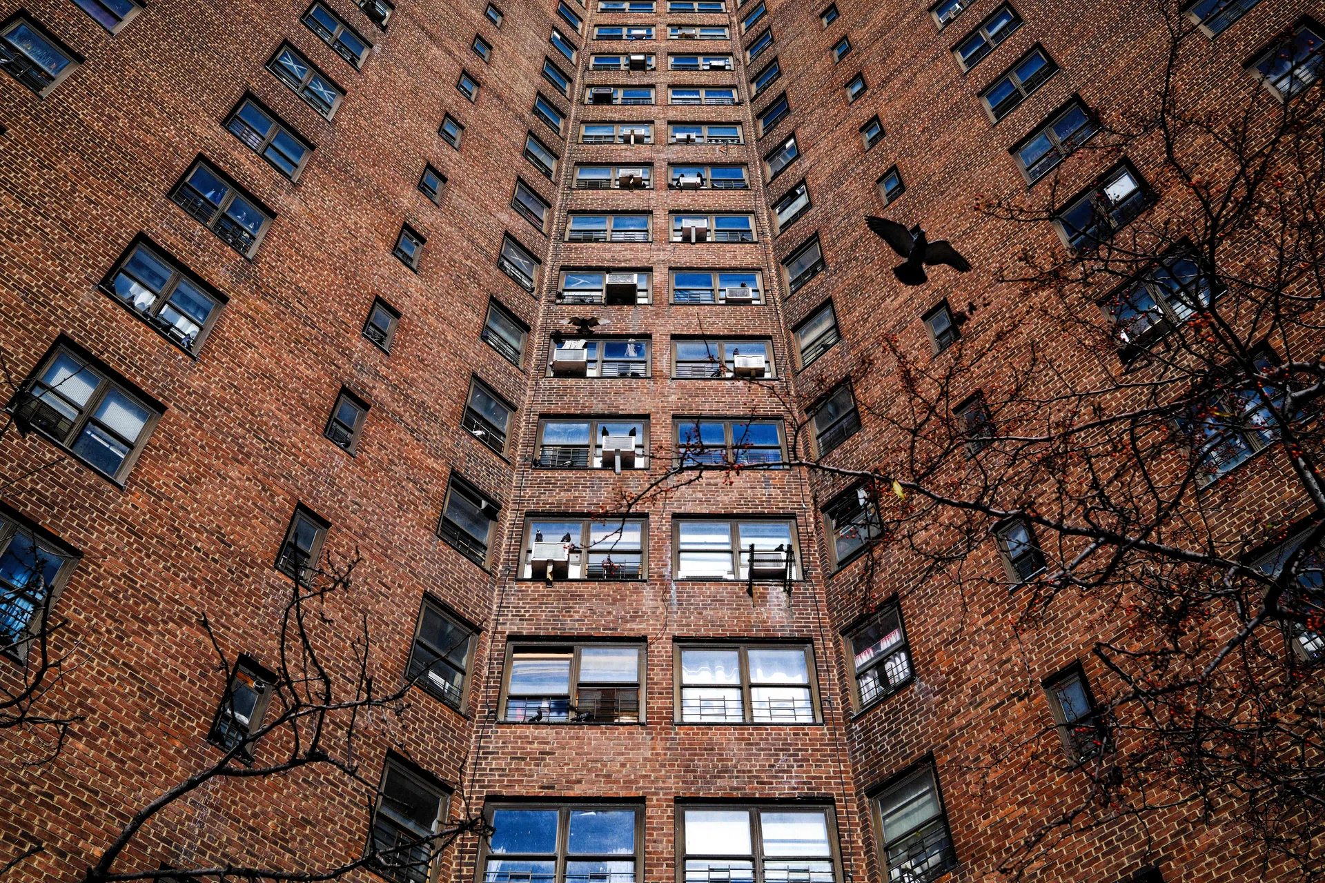 Luxury apartments are bringing rent down in some major US cities