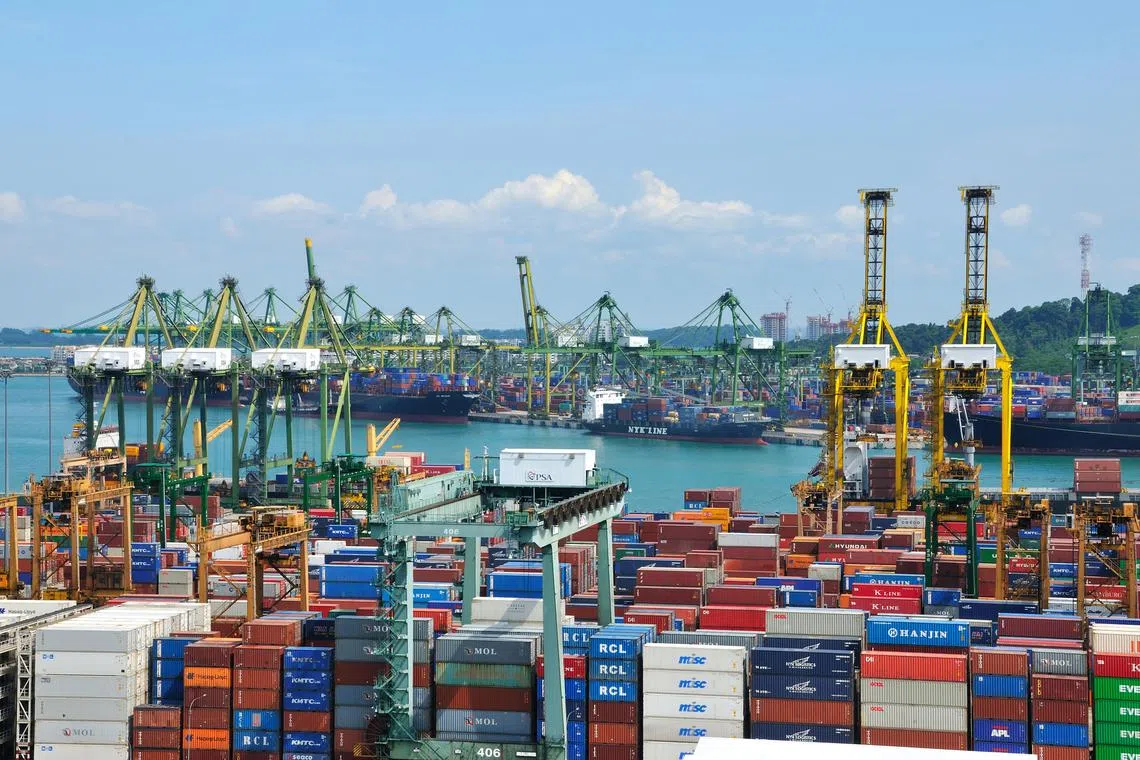 Vibrant Group cites improved shipping revenue for its improved performance.