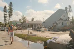 Hurricanes Milton and Helene, which ripped through the US, ended up being the costliest natural disasters of 2024, according to industry data compiled by Munich Re.