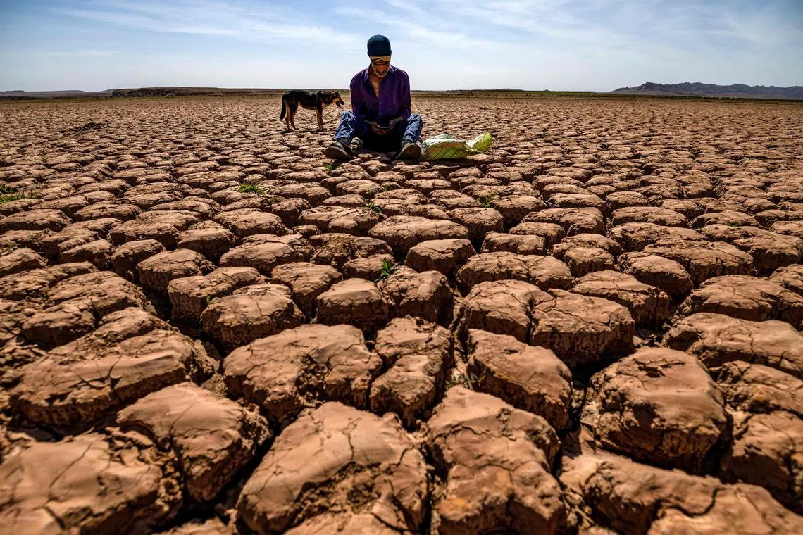 Cracked earth at al-Massira dam in Morocco. A quarter of the global population experienced drought conditions over 2022 and 2023.